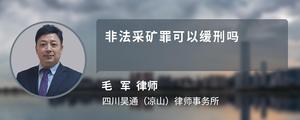 非法采礦罪可以緩刑嗎