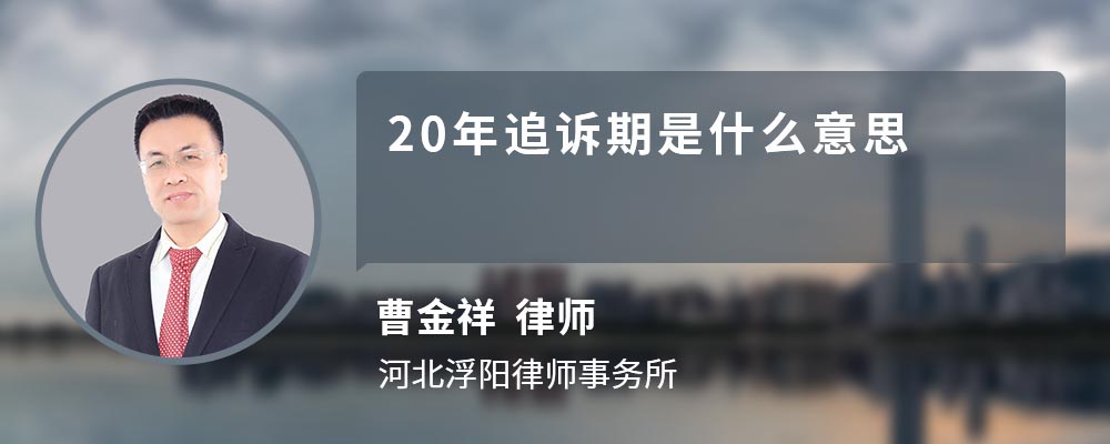 20年追訴期是什么意思