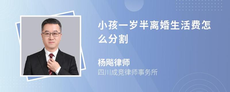 小孩一歲半離婚生活費怎么分割