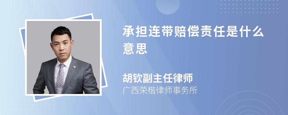 承擔連帶賠償責任是什么意思