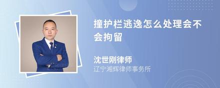 撞護(hù)欄逃逸怎么處理會不會拘留