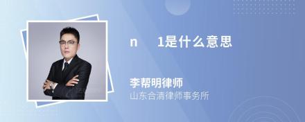 n+1是什么意思