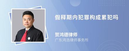 假釋期內(nèi)犯罪構(gòu)成累犯嗎