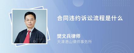 合同違約訴訟流程是什么
