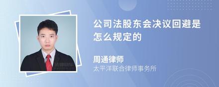 公司法股東會(huì)決議回避是怎么規(guī)定的