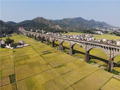 农村土地承包合同解除后果