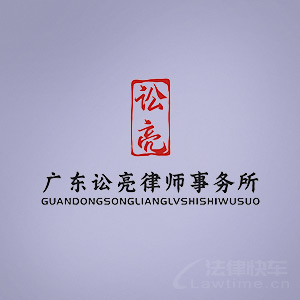 大鹏新区律师-广东讼亮律所律师