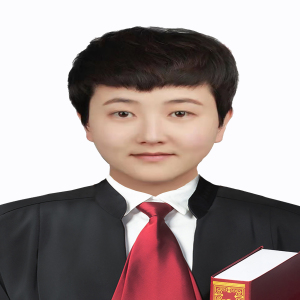 武汉律师-李迎律师