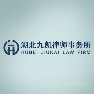 武汉律师-湖北九凯律所律师