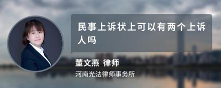 民事上诉状上可以有两个上诉人吗