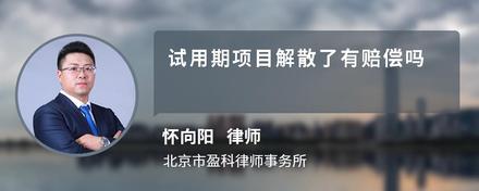 试用期项目解散了有赔偿吗