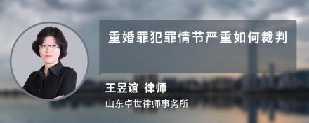 重婚罪犯罪情节严重如何裁判