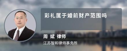 彩礼属于婚前财产范围吗