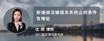 新婚姻法婚姻关系终止的条件有哪些