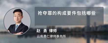 抢夺罪的构成要件包括哪些