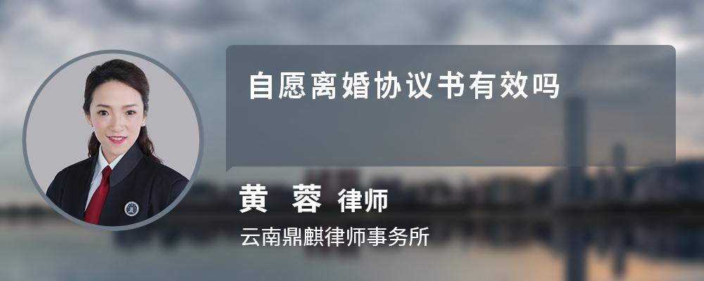 自愿离婚协议书有效吗