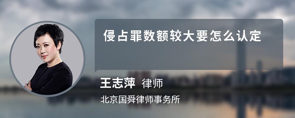 侵占罪数额较大要怎么认定