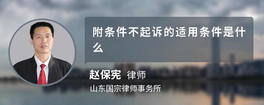 附条件不起诉的适用条件是什么