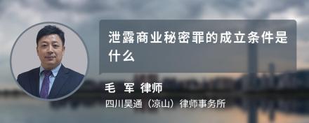 泄露商业秘密罪的成立条件是什么