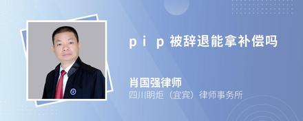 pip被辞退能拿补偿吗