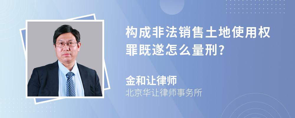 构成非法销售土地使用权罪既遂怎么量刑?