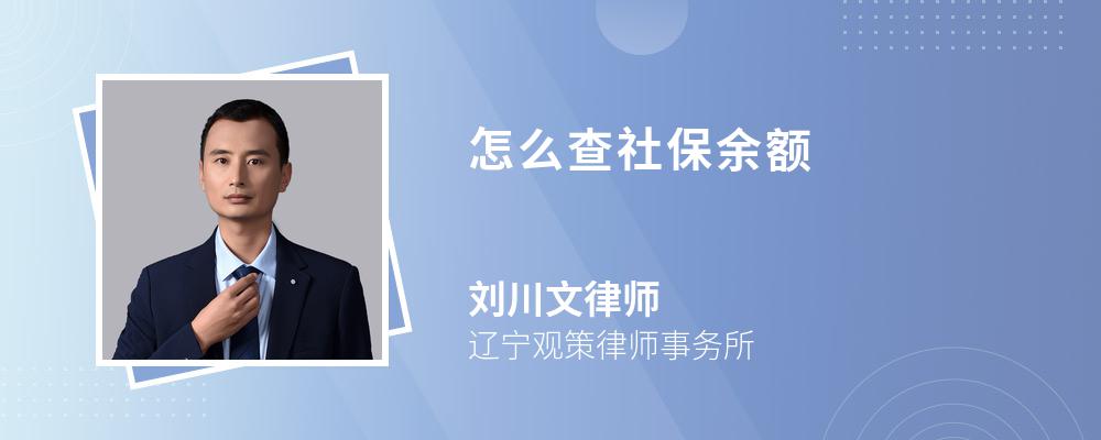 怎么查社保余额