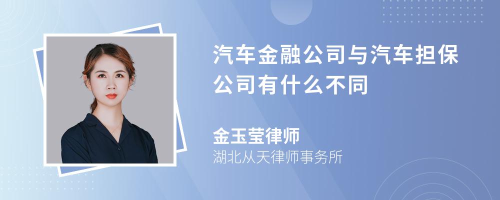 汽车金融公司与汽车担保公司有什么不同