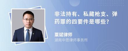 非法持有、私藏枪支、弹药罪的四要件是哪些?