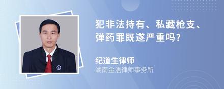 犯非法持有、私藏枪支、弹药罪既遂严重吗?