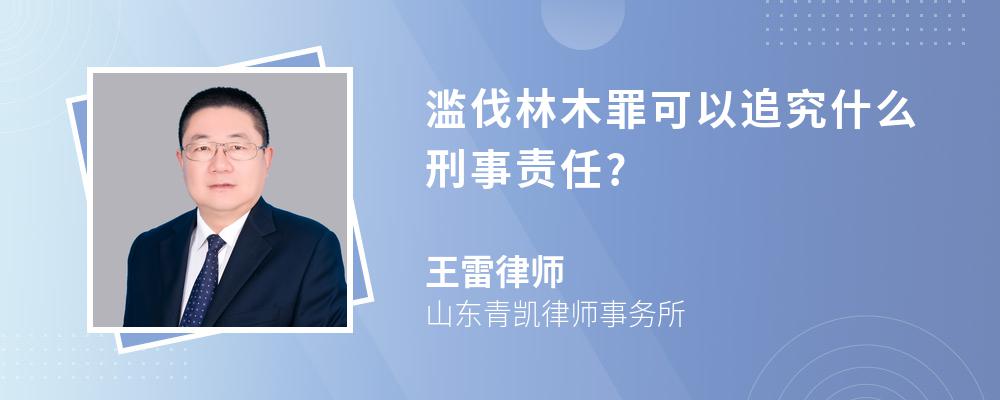 滥伐林木罪可以追究什么刑事责任?