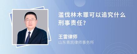 滥伐林木罪可以追究什么刑事责任?