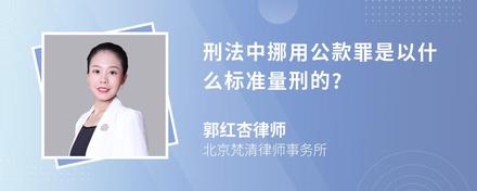 刑法中挪用公款罪是以什么标准量刑的?