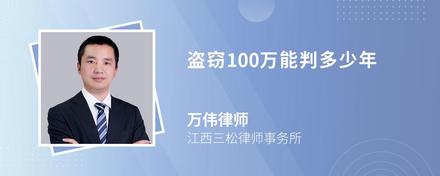 盗窃100万能判多少年