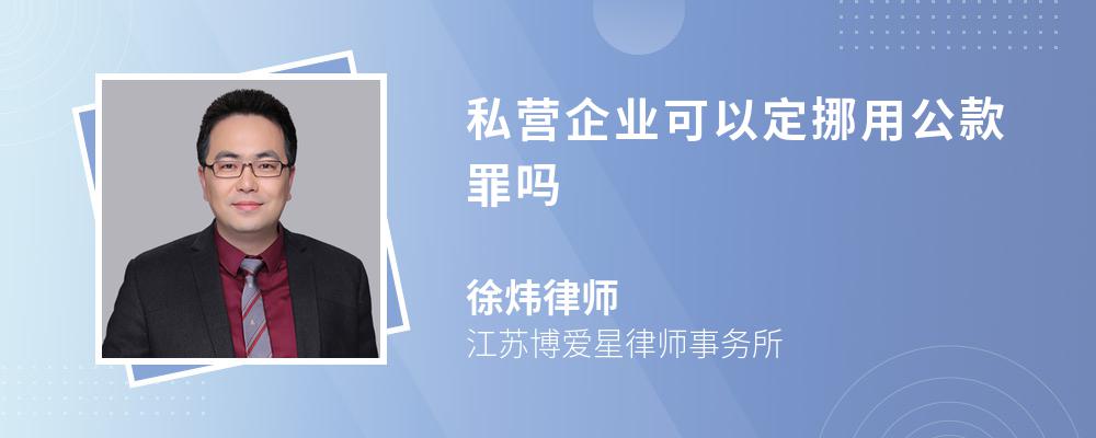 私营企业可以定挪用公款罪吗