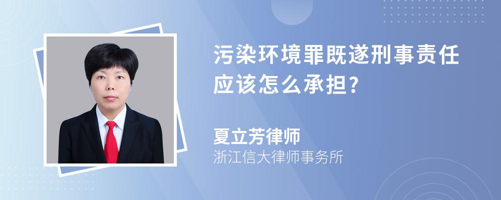 污染环境罪既遂刑事责任应该怎么承担?