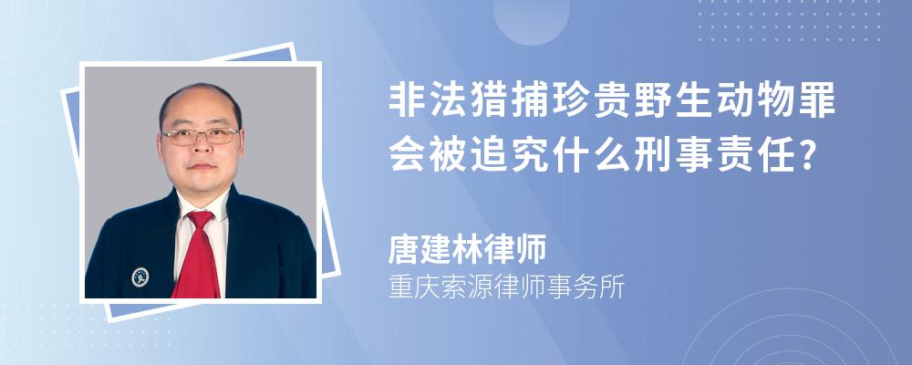 非法猎捕珍贵野生动物罪会被追究什么刑事责任?