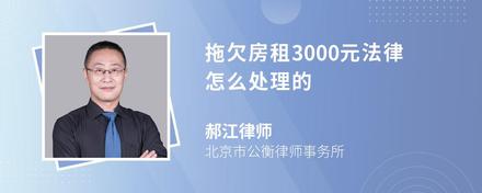 拖欠房租3000元法律怎么处理的