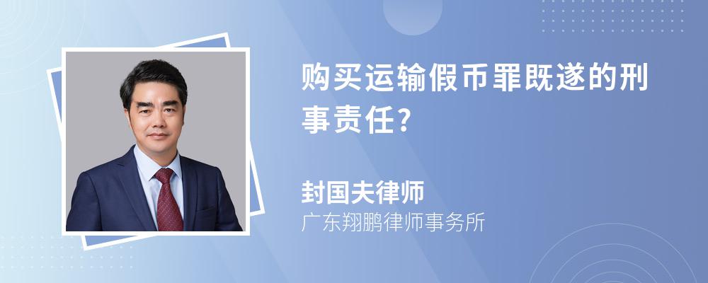 购买运输假币罪既遂的刑事责任?