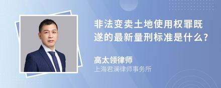 非法变卖土地使用权罪既遂的最新量刑标准是什么?