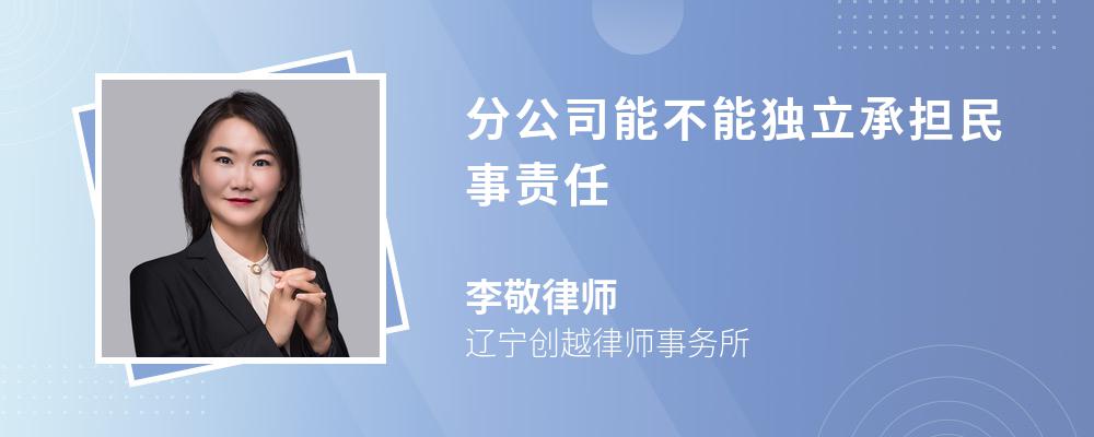 分公司能不能独立承担民事责任