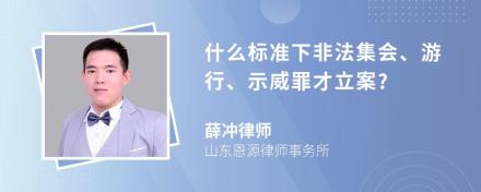 什么标准下非法集会、游行、示威罪才立案?