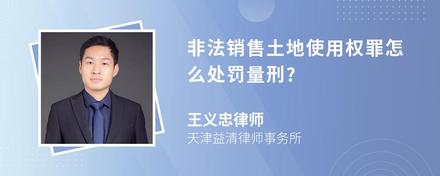 非法销售土地使用权罪怎么处罚量刑?