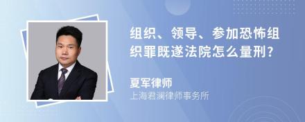 组织、领导、参加恐怖组织罪既遂法院怎么量刑?