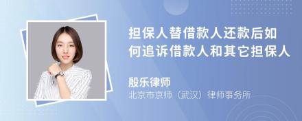 担保人替借款人还款后如何追诉借款人和其它担保人