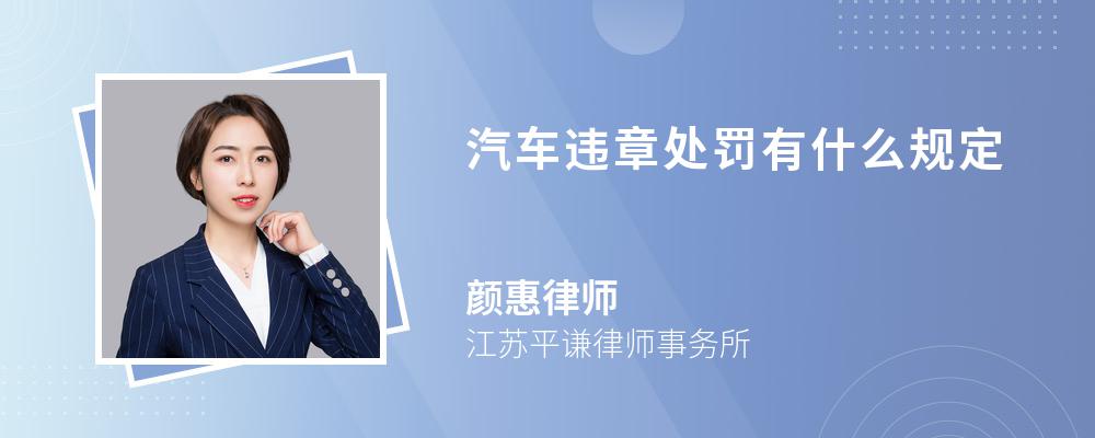 汽车违章处罚有什么规定