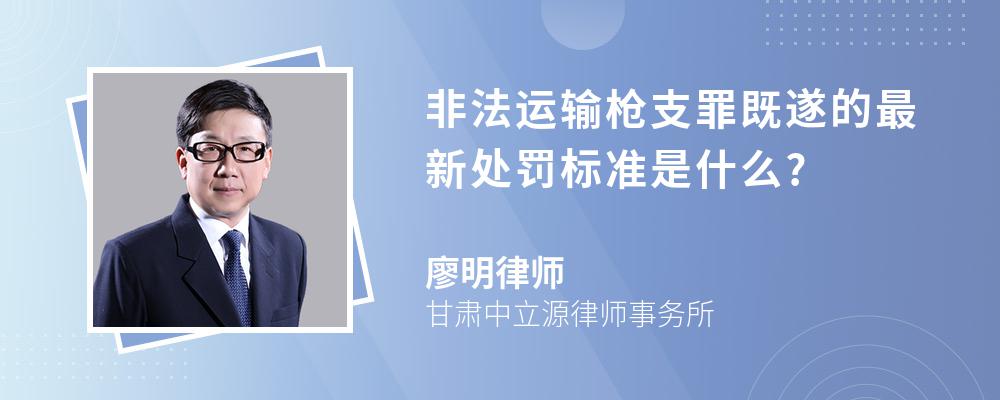 非法运输枪支罪既遂的最新处罚标准是什么?