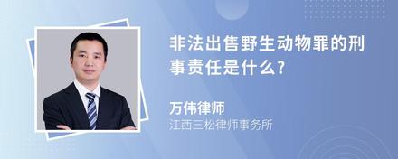 非法出售野生动物罪的刑事责任是什么?