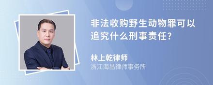 非法收购野生动物罪可以追究什么刑事责任?