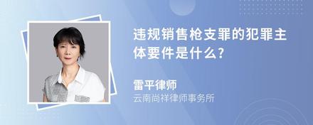 违规销售枪支罪的犯罪主体要件是什么?