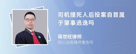 司机撞死人后投案自首属于肇事逃逸吗